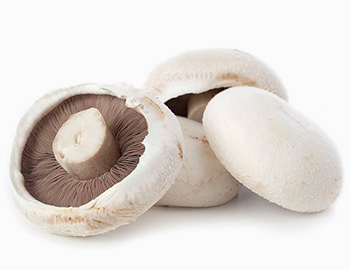 Bridge-Mushrooms-Mayobridge-Newry-Flat-Mushrooms