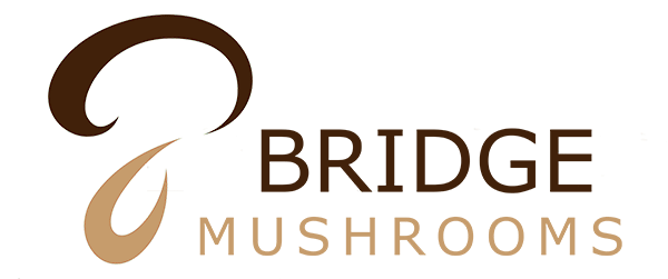 Bridge-Mushrooms-Mayobridge-Newry-Mushrooms-Farm-Logo