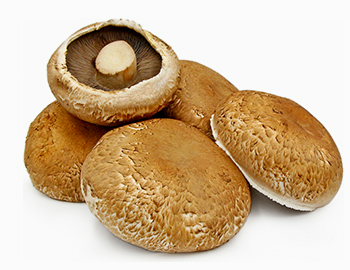 Bridge-Mushrooms-Mayobridge-Newry-Portobello-Mushrooms